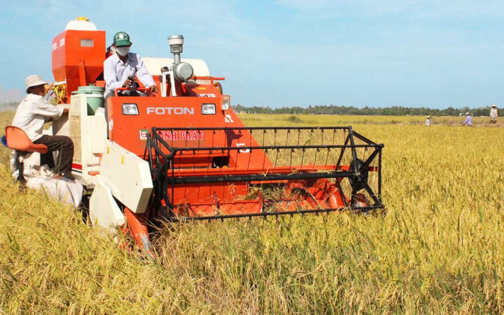 Công Ty Cổ Phần XNK Gạo Ngọc Thiên Phú